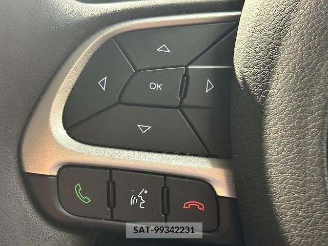 Jeep RENEGADE 2019-03 273683-5