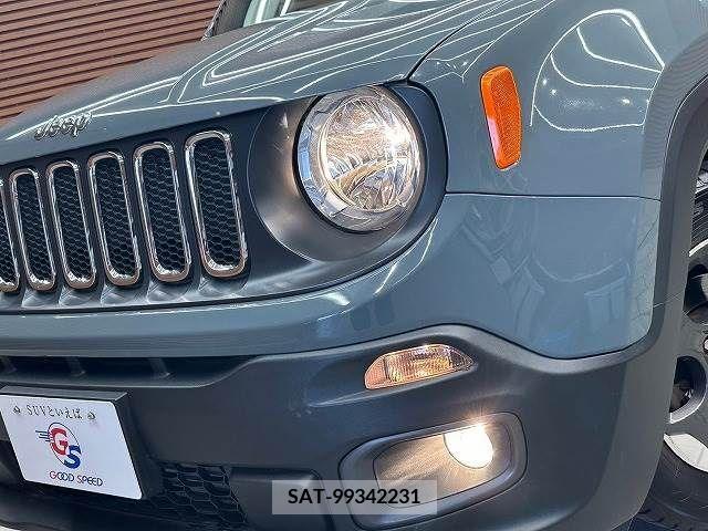 Jeep RENEGADE 2019-03 273683-9