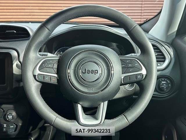 Jeep RENEGADE 2019-03 273683-12