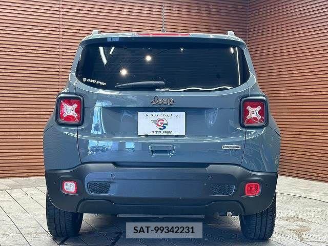 Jeep RENEGADE 2019-03 273683-17