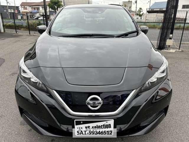 Nissan LEAF 2019-11 380885-2