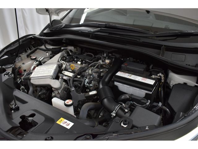 Toyota C-HR 2021-04 17522-18