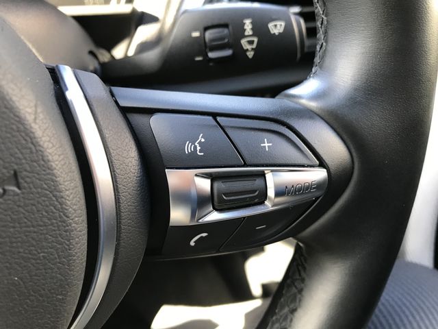 Bmw 1 SERIES 2017-09 194370-12