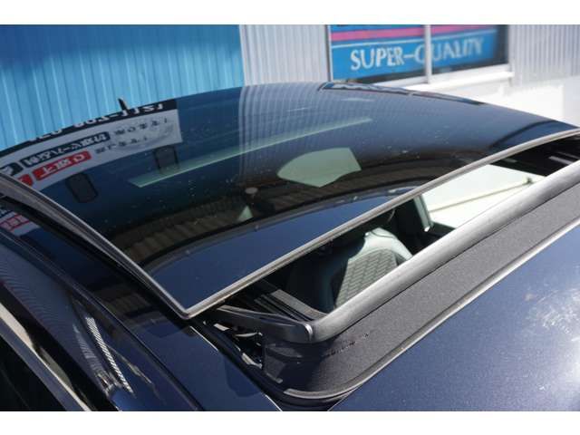 VolksWagen THE BEETLE 2013-07 5441-3