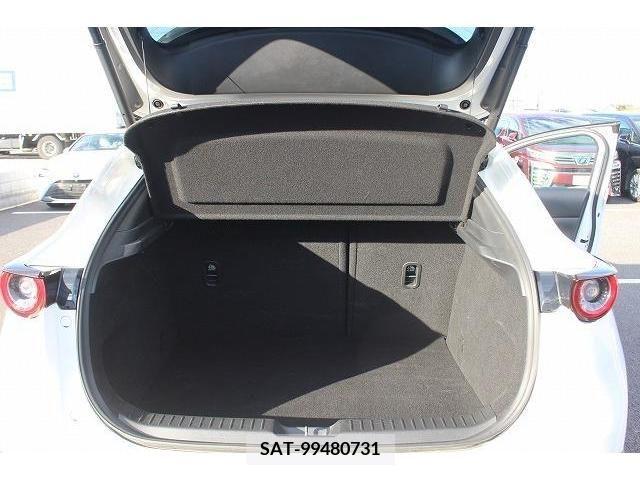 Mazda CX-30 2020-09 205481-16