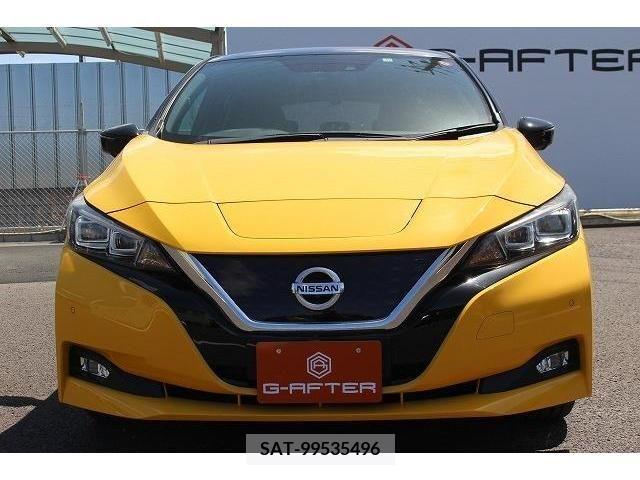 Nissan LEAF 2017-12 233398-5