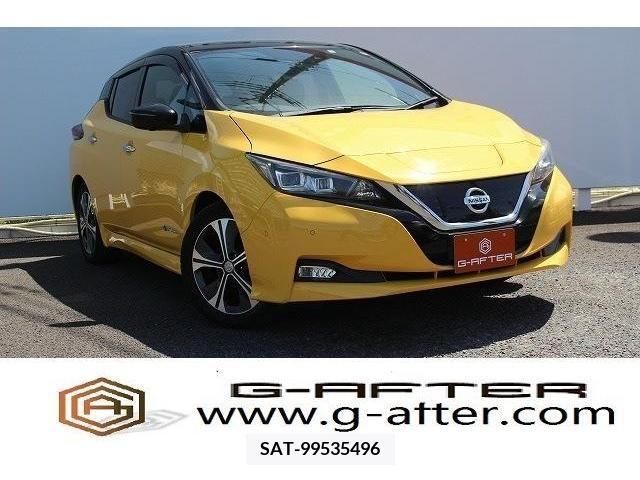 Nissan LEAF 2017-12 233398-0