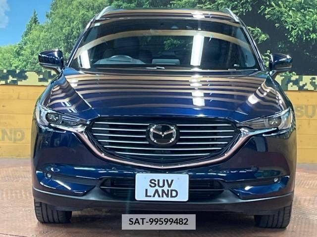 Mazda CX-8 2019-01 380490-14