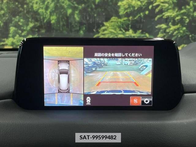 Mazda CX-8 2019-01 380490-3
