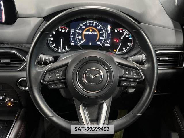 Mazda CX-8 2019-01 380490-11