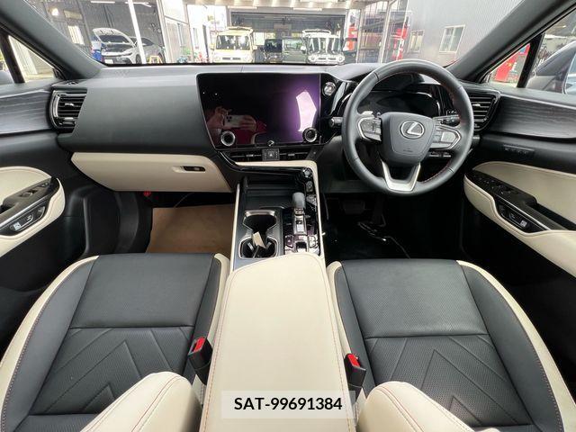 Lexus NX 2023-03 238926-13