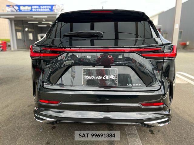 Lexus NX 2023-03 238926-5