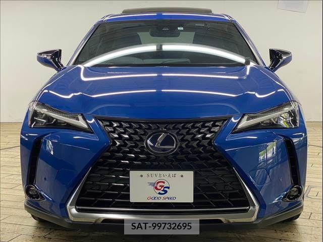 Lexus UX 2019-11 313532-16
