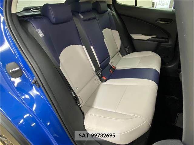 Lexus UX 2019-11 313532-8