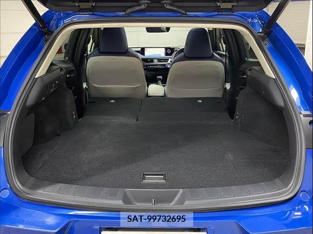 Lexus UX 2019-11 313532-19