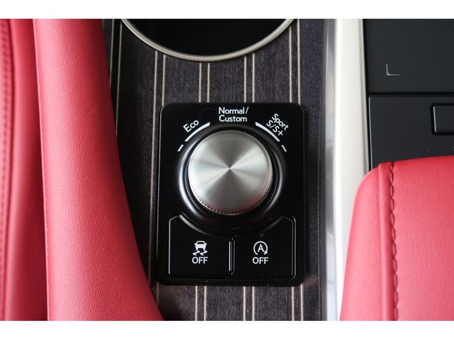 Lexus RX 2021-06 17811-12