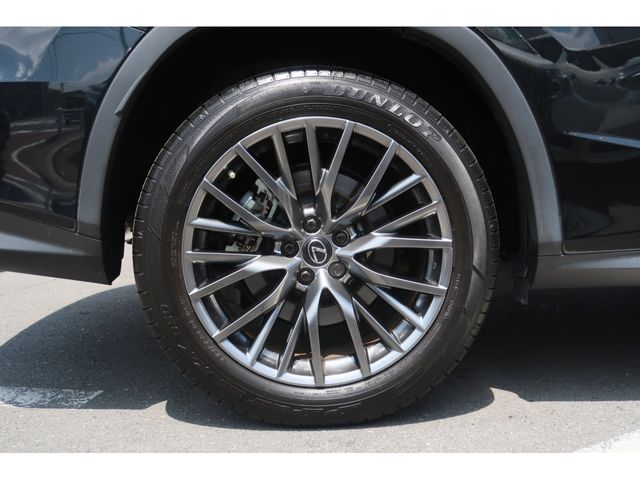 Lexus RX 2021-06 17811-29