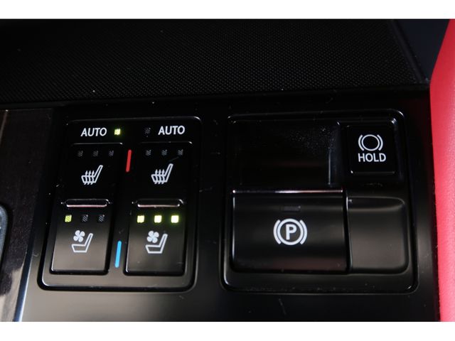Lexus RX 2021-06 17811-24