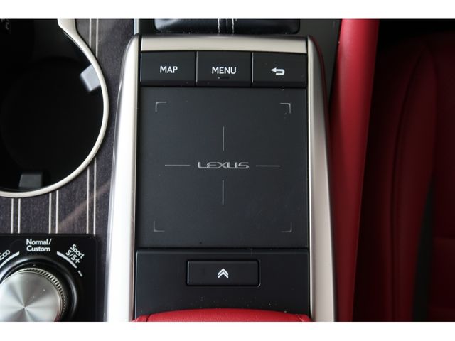 Lexus RX 2021-06 17811-13