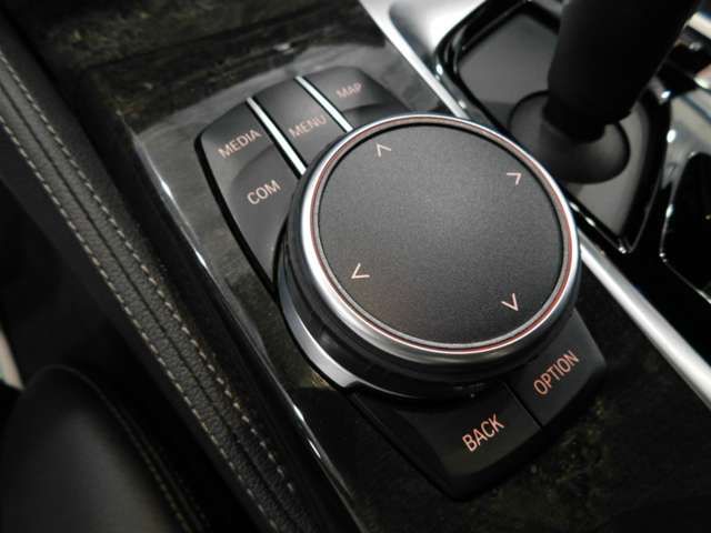 Bmw 5 SERIES 2017-12 195429-12