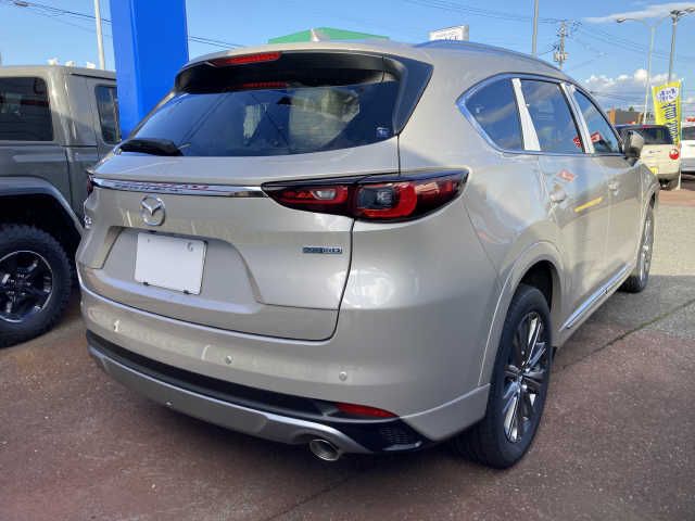 Mazda CX-8 2023-04 9137-2