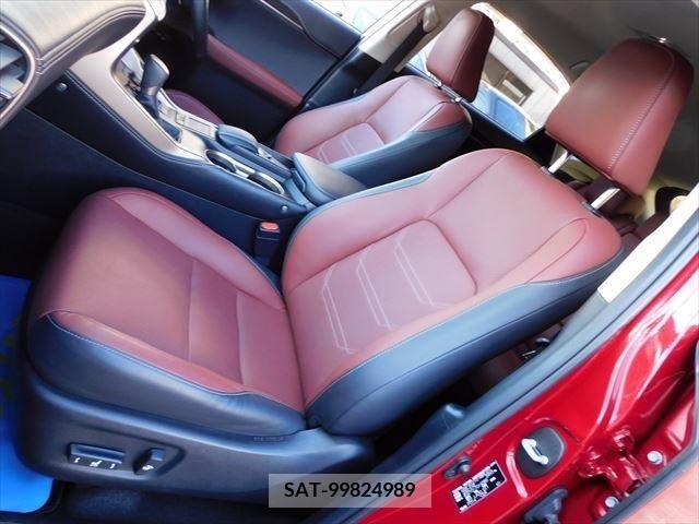 Lexus NX 2017-01 217196-12