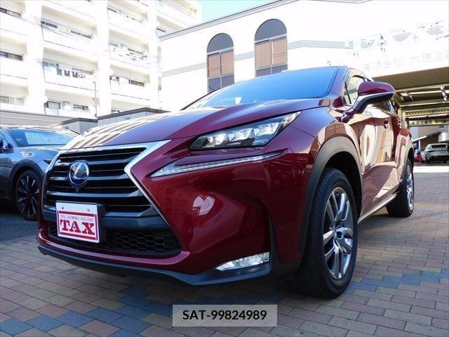 Lexus NX 2017-01 217196-8
