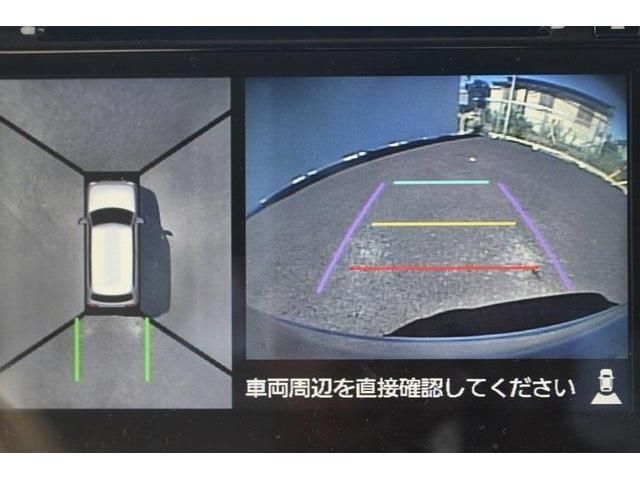 Suzuki LAPIN 2016-01 9853-13