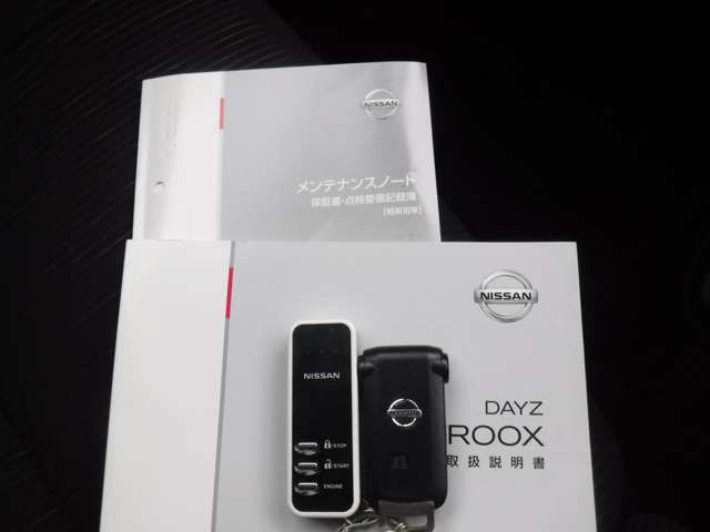 Nissan DAYZ ROOX 2015-01 21979-16