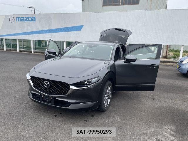 Mazda CX-30 2021-01 302088-7