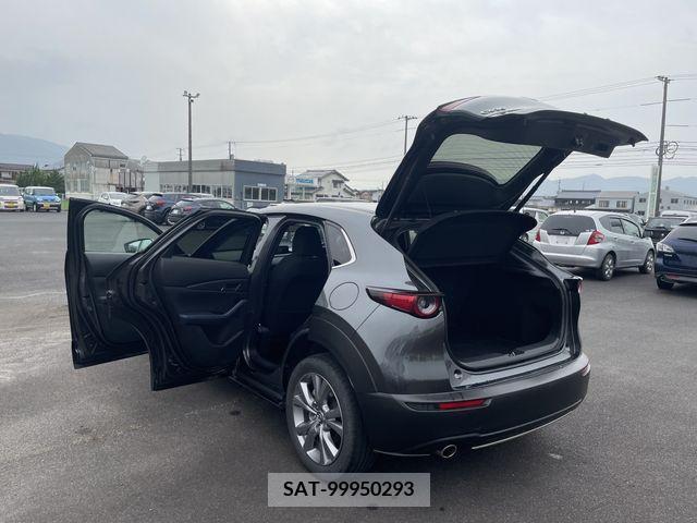 Mazda CX-30 2021-01 302088-9
