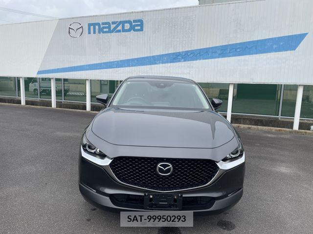 Mazda CX-30 2021-01 302088-3