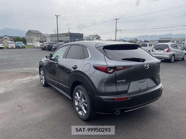 Mazda CX-30 2021-01 302088-2