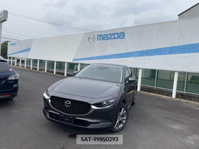 Mazda CX-30 2021-01 302088-0