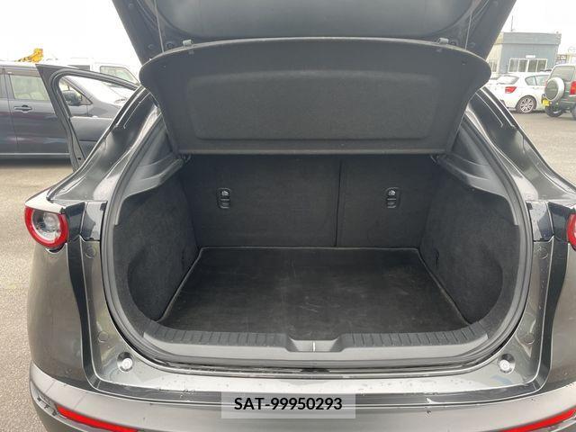 Mazda CX-30 2021-01 302088-16