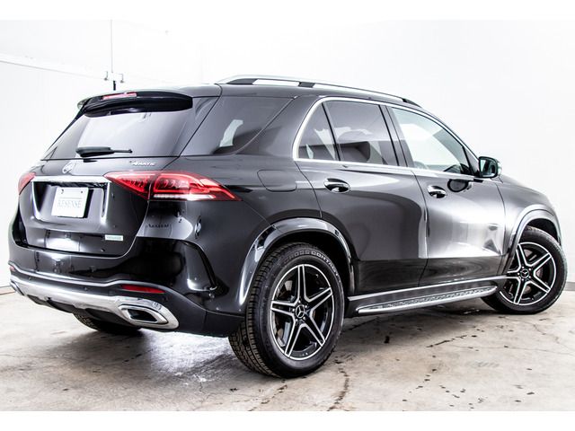 Mercedes Benz GLE-CLASS 2019-09 28823-7