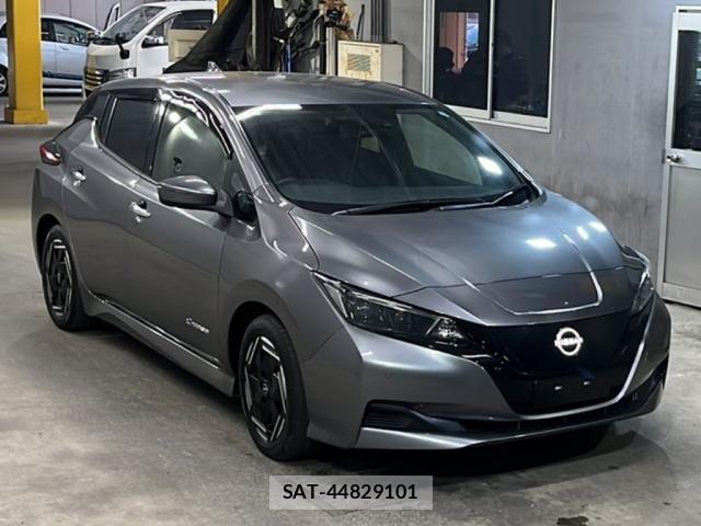 Nissan LEAF 2024 8717248-4