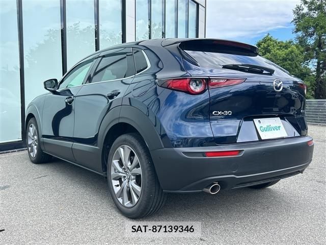 Mazda CX-30 2019 8930403-13