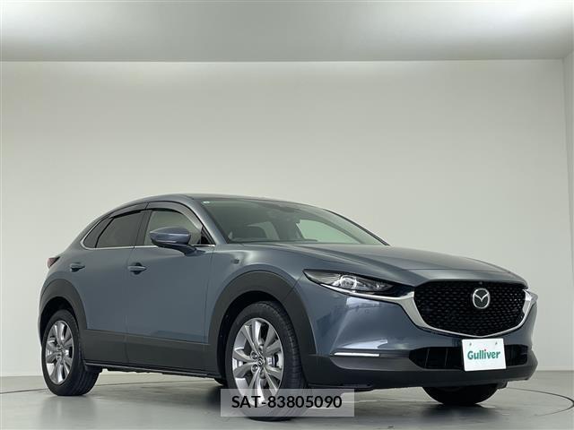 Mazda CX-30 2021 8930404-12