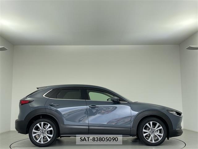 Mazda CX-30 2021 8930404-13