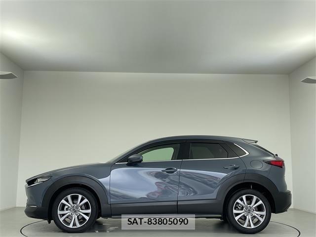 Mazda CX-30 2021 8930404-14
