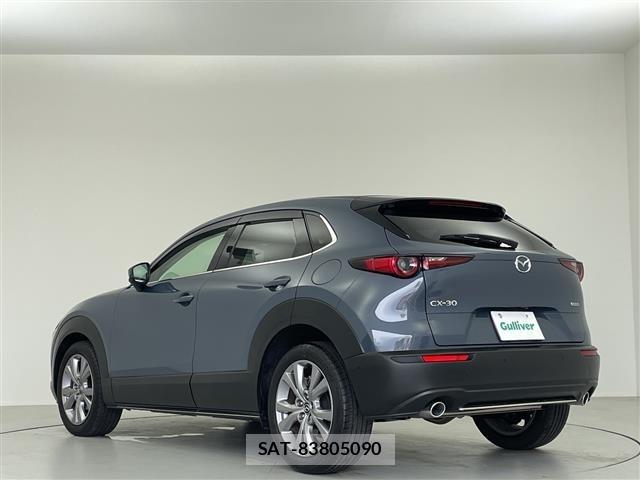 Mazda CX-30 2021 8930404-20