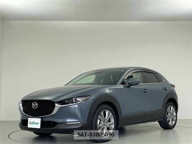 Mazda CX-30 2021 8930404-22