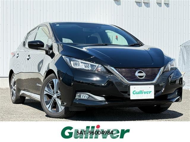 Nissan LEAF 2019 8928791-0
