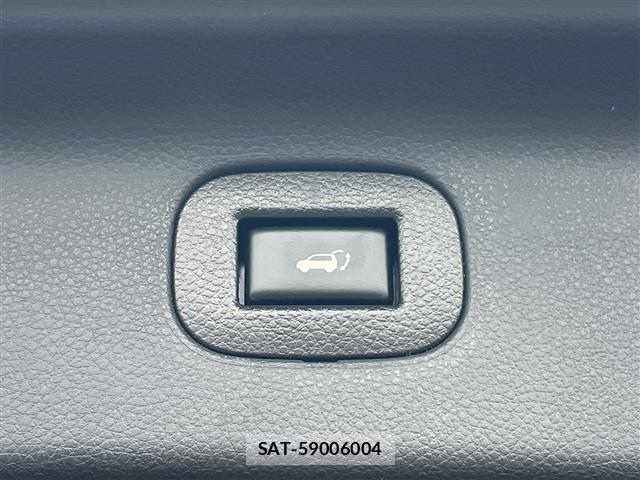 Nissan ELGRAND 2018 8909063-2