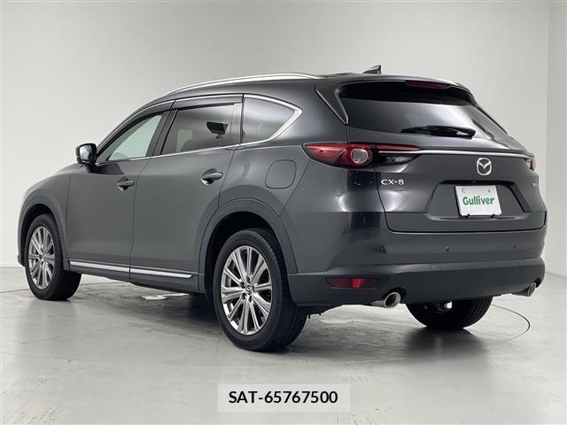 Mazda CX-8 2022 8935207-13
