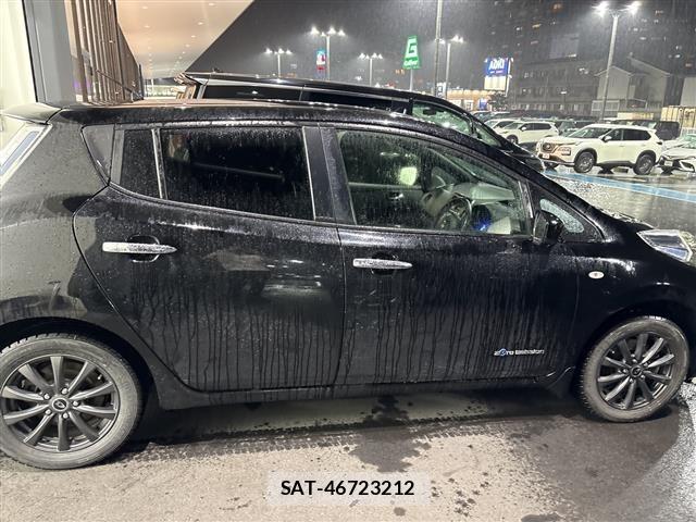 Nissan LEAF 2017 8928801-4