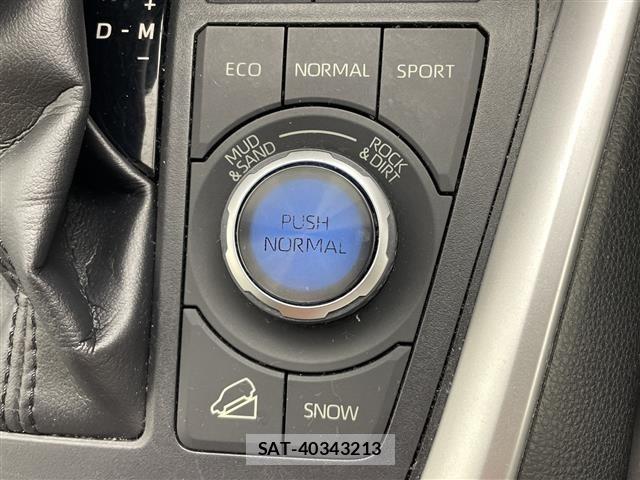 Toyota RAV4 2020 8709219-9