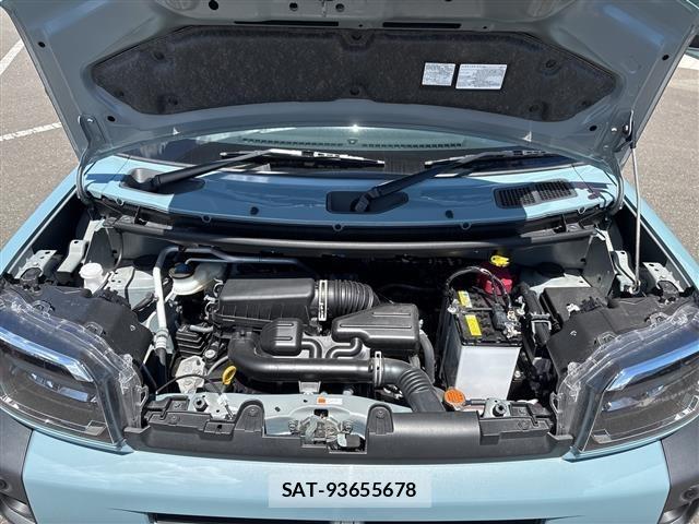 Daihatsu TAFT 2024 8697836-13