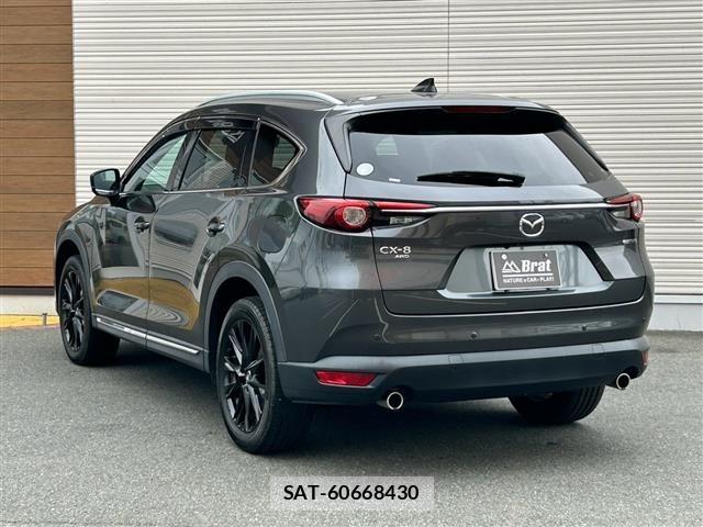 Mazda CX-8 2021 8935222-13
